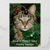 Invitation En Aluminium Cat Christmas Tree Perfect Holiday Card (Recto)