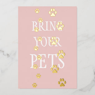 Invitation En Aluminium Chien & Empreintes de pattes de chat Animal de com