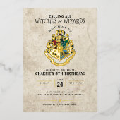 Invitation En Aluminium Cimier de Poudlard Harry Potter Anniversaire (Recto)