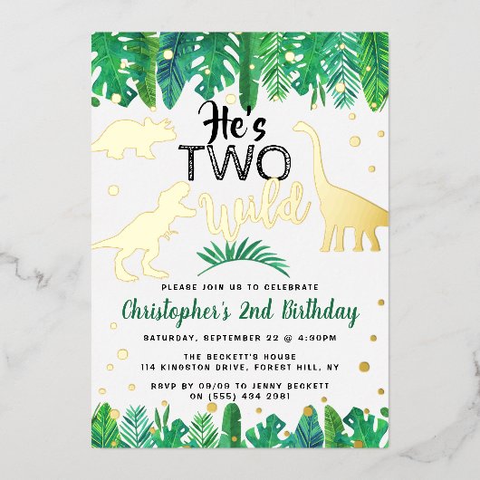 Invitation En Aluminium Deux Dinosaures Sauvages Garçons 2e Anniversaire R (Recto)