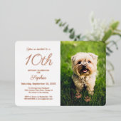 Invitation En Aluminium Empreintes de pattes mignons Animaux de compagnie  (Debout devant)