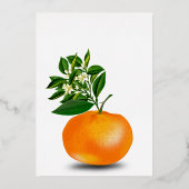 Invitation En Aluminium Feuilles frais de Tangerine (Verso)