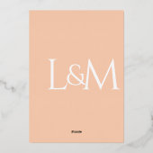 Invitation En Aluminium Pop d'Apricot Géométrique Italienne (Retro-Dotted) (Verso)