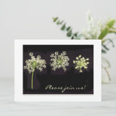 Invitation en dentelle de la Reine Anne (Debout devant)