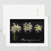 Invitation en dentelle de la Reine Anne (Devant / Derrière)