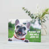 Invitation Enfant mignon (n'importe quel âge) French Bulldog  (Debout devant)