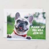 Invitation Enfant mignon (n'importe quel âge) French Bulldog  (Devant)