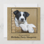 Invitation Enfant's Birthday Chien Chien Chien Personnalisé P (Devant)