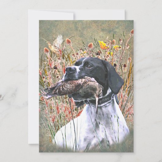 Invitation English pointer (Devant)