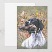 Invitation English pointer (Devant / Derrière)