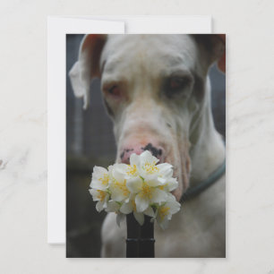 Invitation Enregistrer la date : nouvelle portée attendue