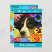 Invitation Espagnol : Fiesta de cumpleaños - Invitación (Devant / Derrière)