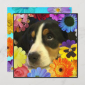 Invitation Espagnol : Invitación de cumpleaños/Birthday (Devant / Derrière)