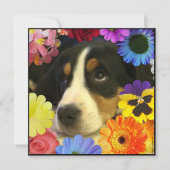 Invitation Espagnol : Invitación de cumpleaños/Birthday (Devant)