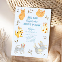 Êtes-Vous Kitten Me Chat Boy Anniversaire