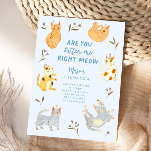 Invitation Êtes-Vous Kitten Me Chat Boy Anniversaire