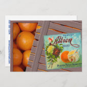 Invitation Étiquette à base d'oranges d'Albion (Devant / Derrière)