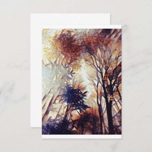 Invitation Étoiles Dans La Forêt (Devant / Derrière)