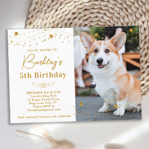 Invitation Étoiles Dorées Anniversaire Photo de Chien Personn