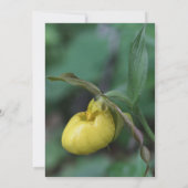 Invitation Événement de mariage floral de sabot de dame jaune (Dos)