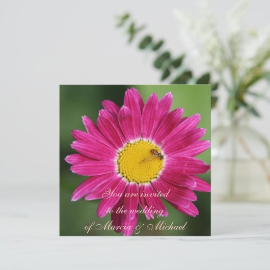 Invitation Faisy peint en rose (Debout devant)