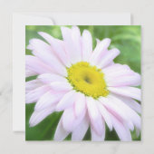 Invitation Faisy peint en rose pâle (Dos)