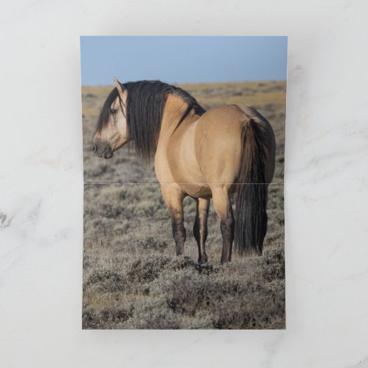 Invitation "Fallen Star in Front of the Wind River Mountains" (Intérieur)