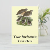 Invitation Famille de cailles de Coturnix (Debout devant)