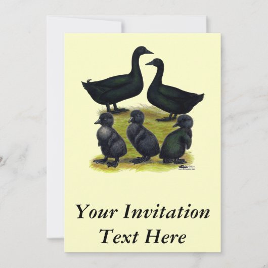 Invitation Famille de canards Cayuga (Devant)