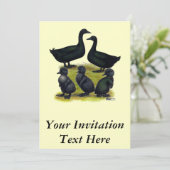 Invitation Famille de canards Cayuga (Debout devant)