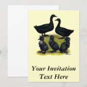 Invitation Famille de canards Cayuga (Devant / Derrière)