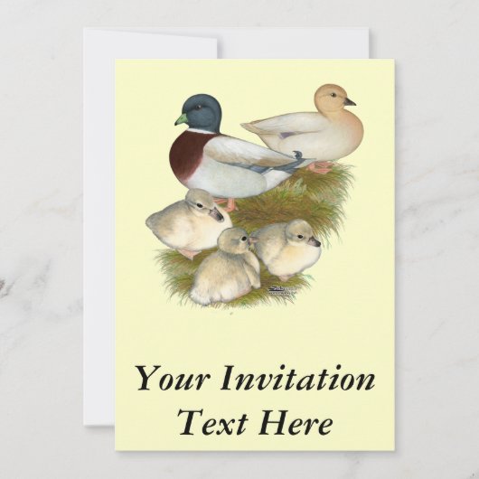 Invitation Famille de canards colverts pastel (Devant)