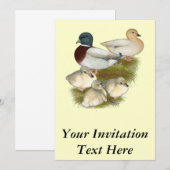 Invitation Famille de canards colverts pastel (Devant / Derrière)