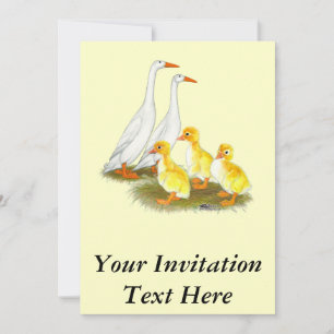 Invitation Famille de canards coureurs blancs