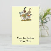 Invitation Famille de canards de Saxe (Debout devant)