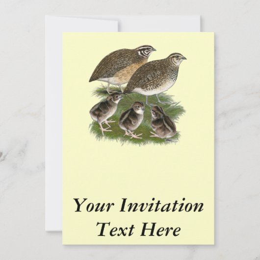 Invitation Famille des Cailles Coturnix (Devant)