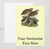 Invitation Famille des Cailles Coturnix (Devant / Derrière)