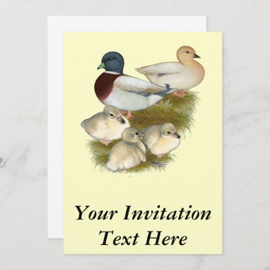 Invitation Famille Pastel Call Duck (Devant / Derrière)