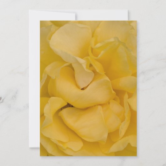 Invitation Fancy Yellow Rose Graduation Party (Dos)