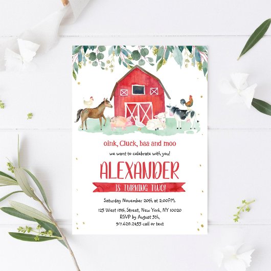 Invitation Farm Animals Oink Baa Moo Boy 1st Birthday