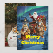 Invitation Fat Tiger the Ginger Cat’s Holiday Trouble – Cat R (Devant / Derrière)