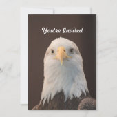 Invitation Faune Bald Eagle Portrait Photo Anniversaire (Devant)