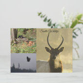 Invitation Faune de Seattle (Debout devant)