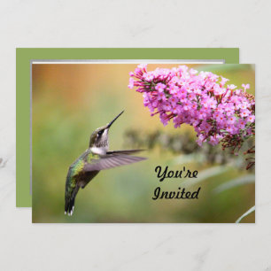 Invitation Faune Hummingbird Floral Photo Anniversaire