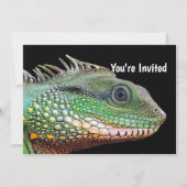 Invitation Faune Iguana Photo Anniversaire (Devant)