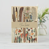 Invitation Feather Bird Wildlife Plumes d'antiquités (Debout devant)
