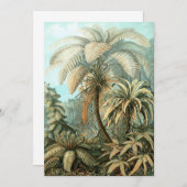 Invitation Fern (Filicinae) par Haeckel (Devant / Derrière)