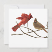 Invitation Festivals des Red Cardinals Noël (Dos)