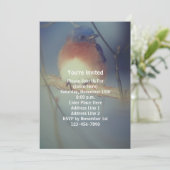 Invitation Fête Animale de Merlebleu d'Hiver (Debout devant)