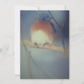 Invitation Fête Animale de Merlebleu d'Hiver (Dos)